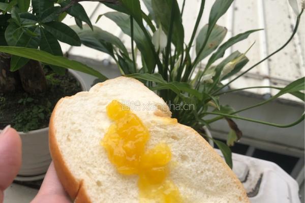 徐闻菠萝酱的做法图解10
