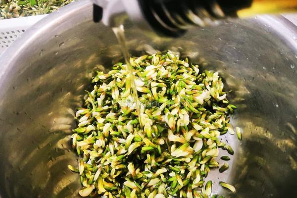 槐花蛋黄饼的做法图解3