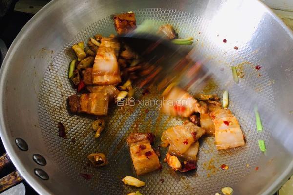 莲花白回锅肉的做法图解5