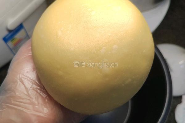 自制风味液种椰蓉排包的做法图解5