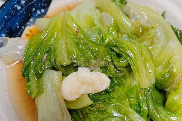 蚝油生菜的做法图解11