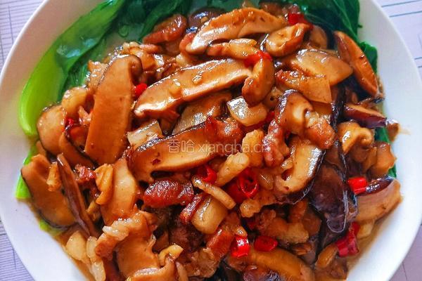 耗油香菇的做法图解5