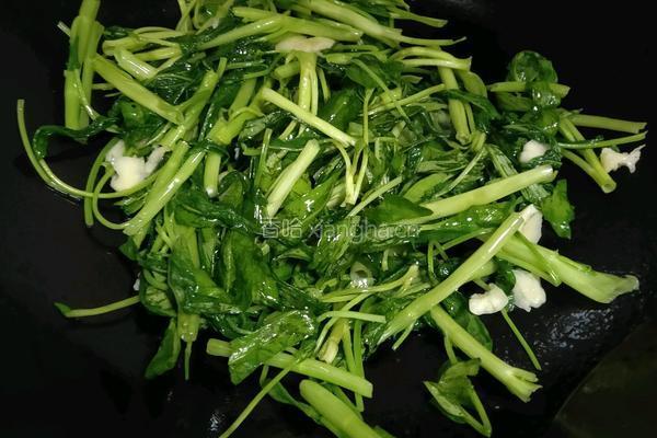 清炒空心菜的做法图解3