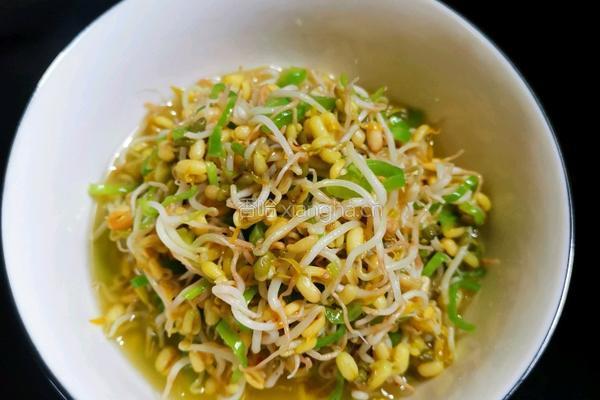 自芽豆芽菜的做法图解8