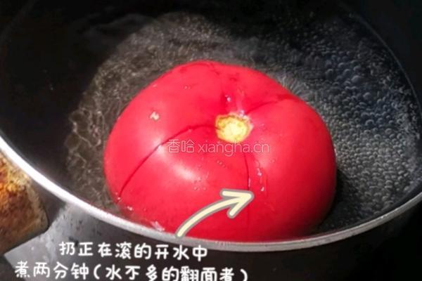 番茄鸡蛋面的做法图解1