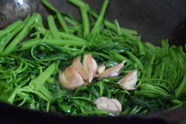 蒜蓉空心菜的做法图解6
