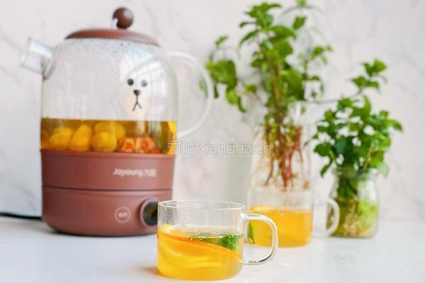 话梅水果茶的做法图解10