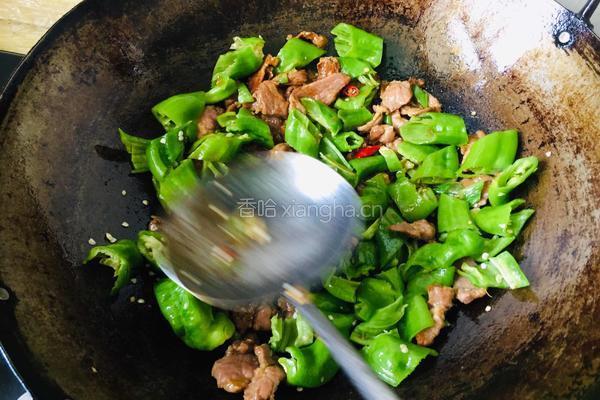 辣椒炒肉片的做法图解8