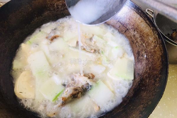 冬瓜鱼头炖豆腐的做法图解6