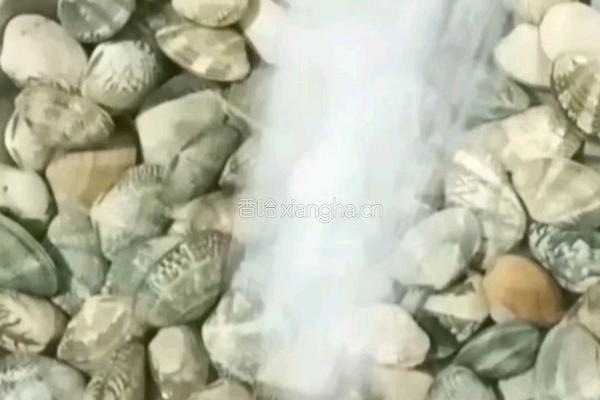 豆瓣酱炒花甲的做法图解1