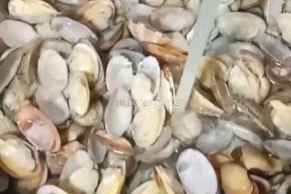 豆瓣酱炒花甲的做法图解5