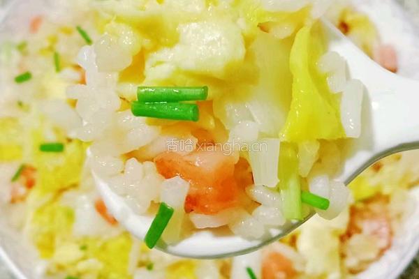 娃娃菜火腿蛋炒饭的做法图解16
