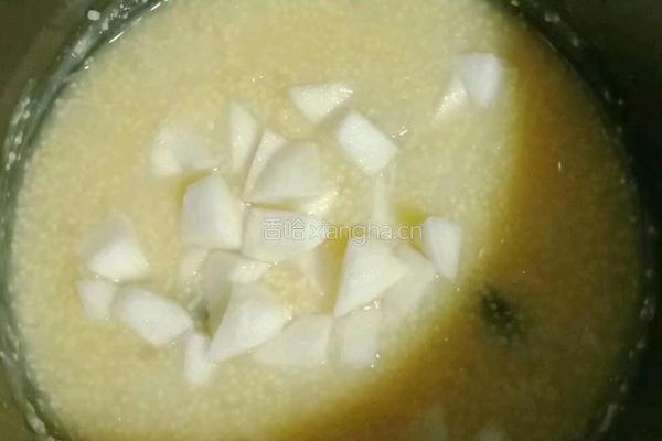 雪梨银耳小米粥的做法图解11