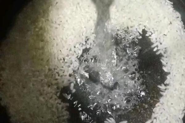 时蔬肉末粥的做法图解9