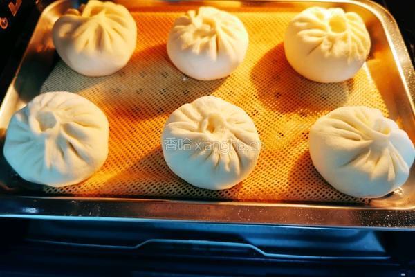香菇青菜包子的做法图解21