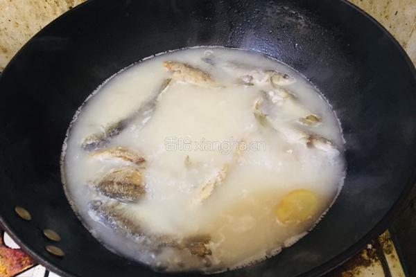 香葱鲫鱼汤的做法图解6