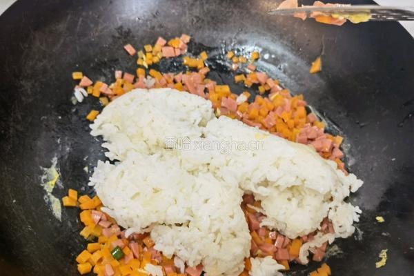 虾仁蛋炒饭的做法图解9