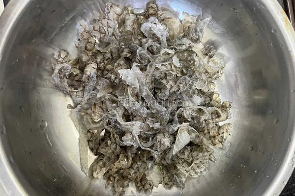 凉拌鱼皮的做法图解5