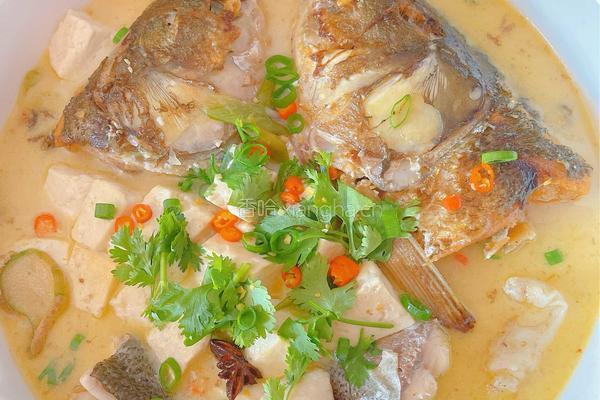 鱼头豆腐汤的做法图解6