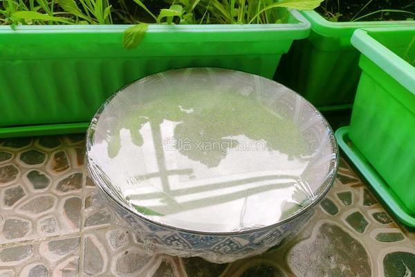 菠菜馒头的做法图解13