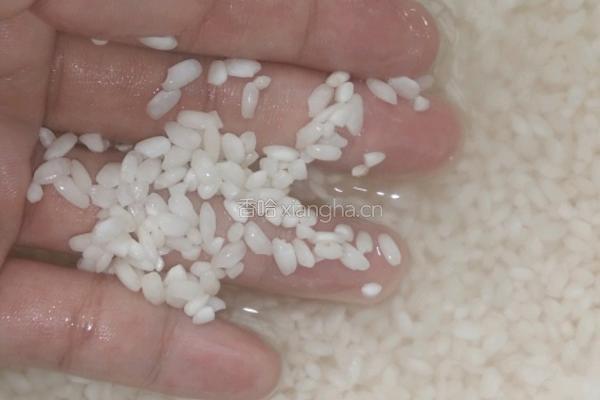 糯米珍珠肉丸的做法图解1