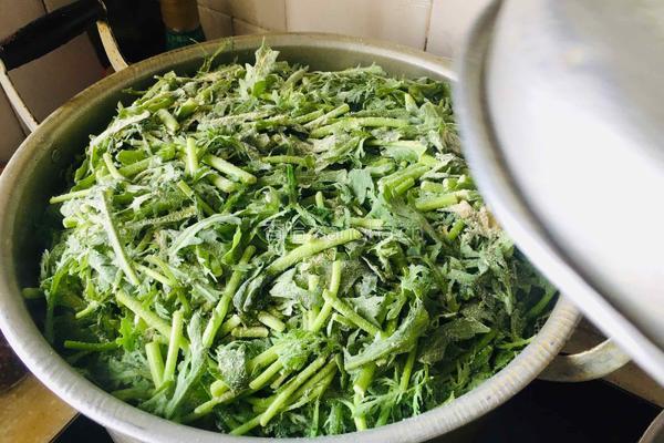 炒面蒸茼蒿的做法图解6