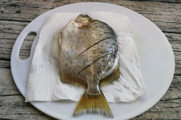 香煎金鼓鱼的做法图解7