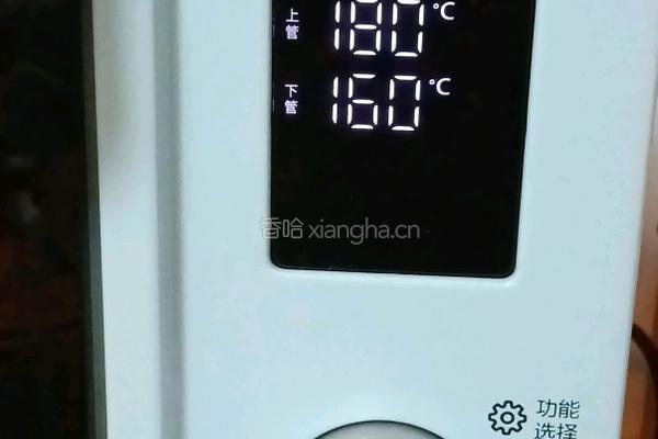 蓝莓马芬蛋糕的做法图解14