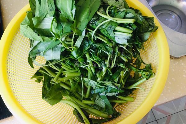 蒜香空心菜的做法图解1
