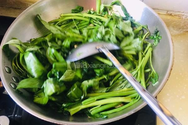 蒜香空心菜的做法图解4