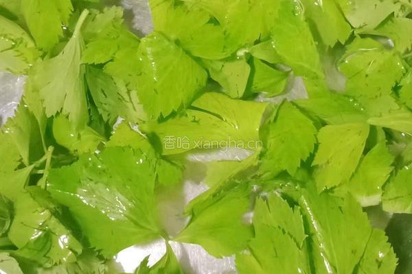 芹菜叶胡萝卜鸡蛋饼的做法图解2