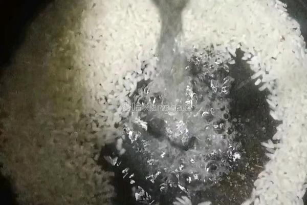 香菇时蔬鸡肉粥的做法图解2