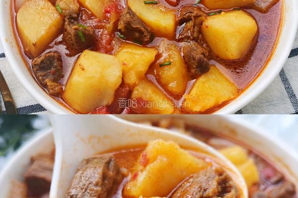 番茄土豆炖牛肉的做法图解3