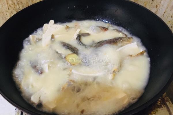 鲫鱼豆腐汤的做法图解5