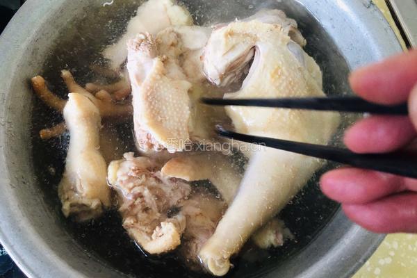 玉米胡萝卜炖土鸡的做法图解3