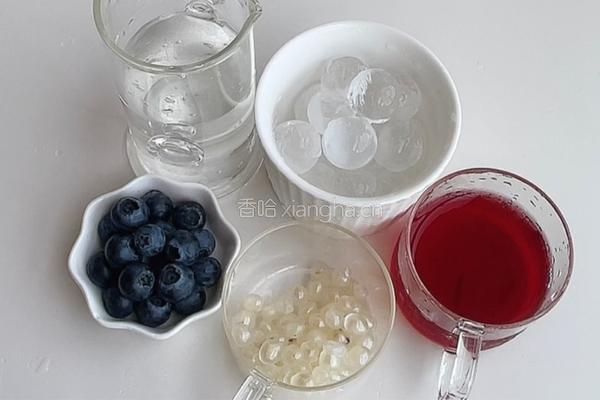 酸甜蓝莓饮的做法图解1