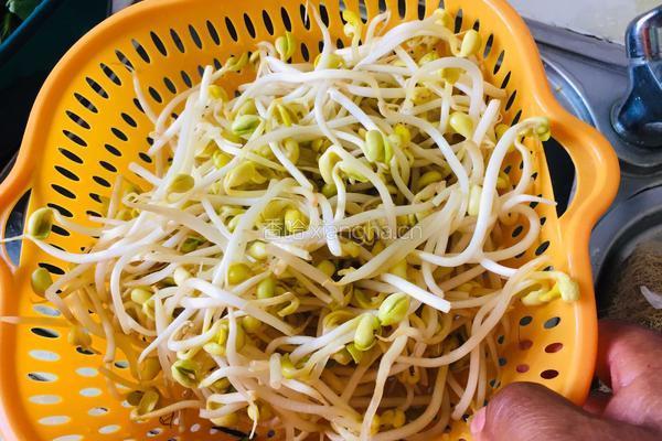 黄豆芽炒过油牛肉丝的做法图解1