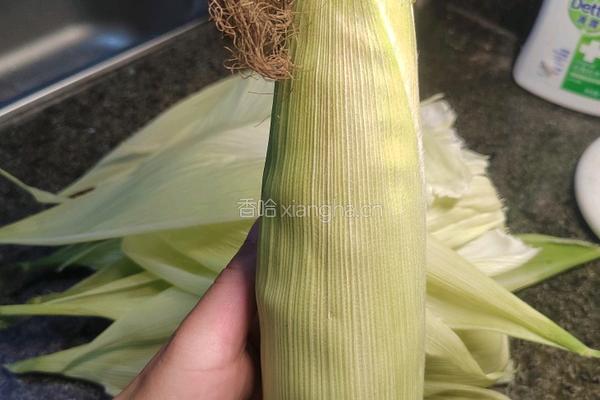 水煮糯玉米的做法图解1
