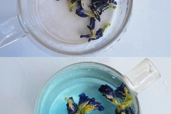 蔓越莓凉粉冻的做法图解2