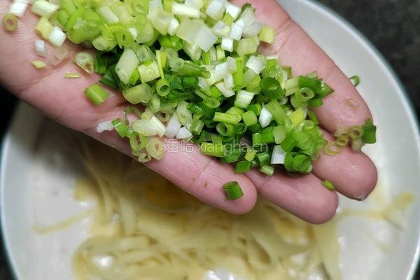 自制营养早餐土豆鲜肉饼的做法图解10