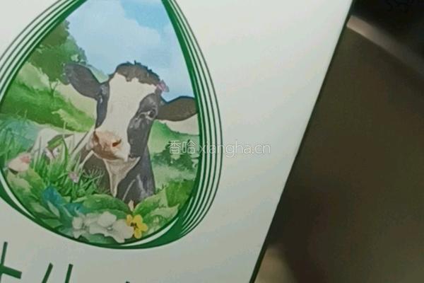 自制冰淇淋(冰淇淋粉)的做法图解4