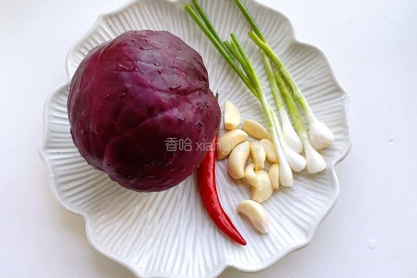 酸辣紫甘蓝的做法图解1