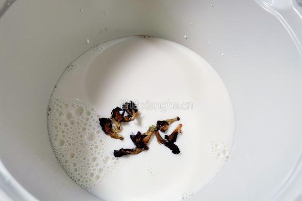 蝶豆花奶冻饱饱碗的做法图解2