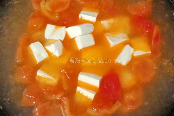 番茄菌菇豆腐汤的做法图解12