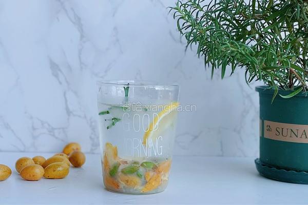 夏日解腻黄皮气泡水的做法图解8