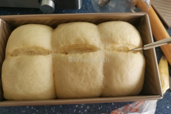 布里欧修吐司的做法图解18