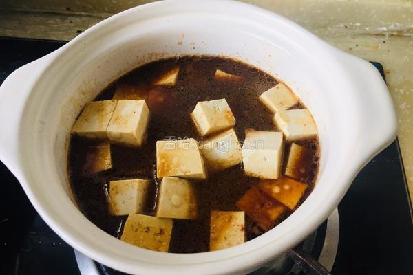 红烧肉炖豆腐的做法图解10