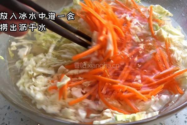包包菜胡萝卜沙拉的做法图解1