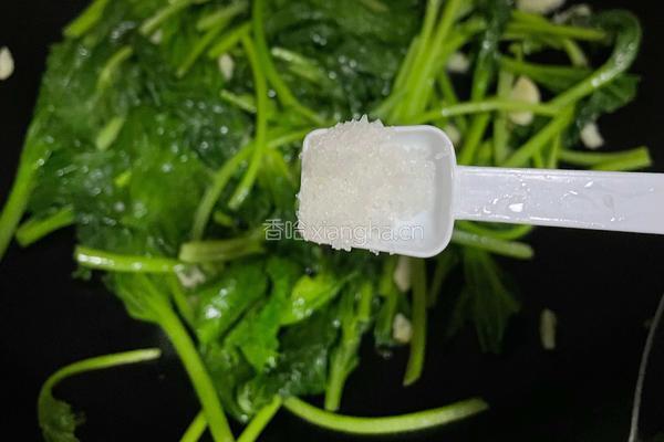清炒皇帝菜的做法图解4