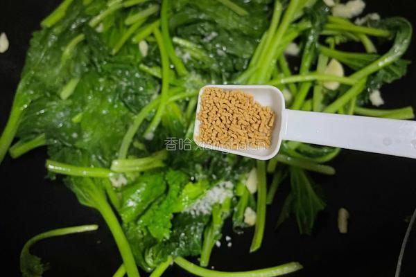 清炒皇帝菜的做法图解5
